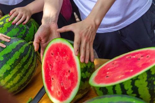 免费吃瓜日常,揭秘娱乐圈幕后故事